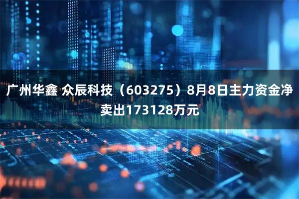 广州华鑫 众辰科技（603275）8月8日主力资金净卖出173128万元