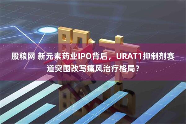 股粮网 新元素药业IPO背后,URAT1抑制剂赛道突围改写痛风治疗格局?