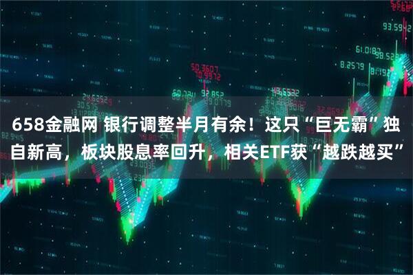 658金融网 银行调整半月有余！这只“巨无霸”独自新高，板块股息率回升，相关ETF获“越跌越买”