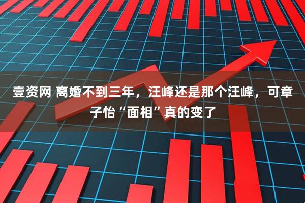 壹资网 离婚不到三年，汪峰还是那个汪峰，可章子怡“面相”真的变了