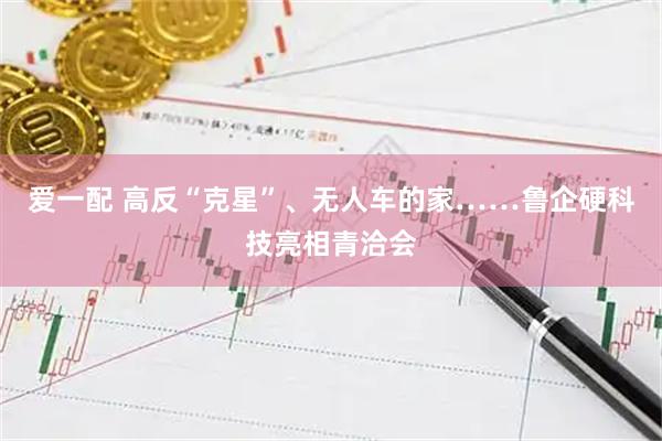 爱一配 高反“克星”、无人车的家……鲁企硬科技亮相青洽会